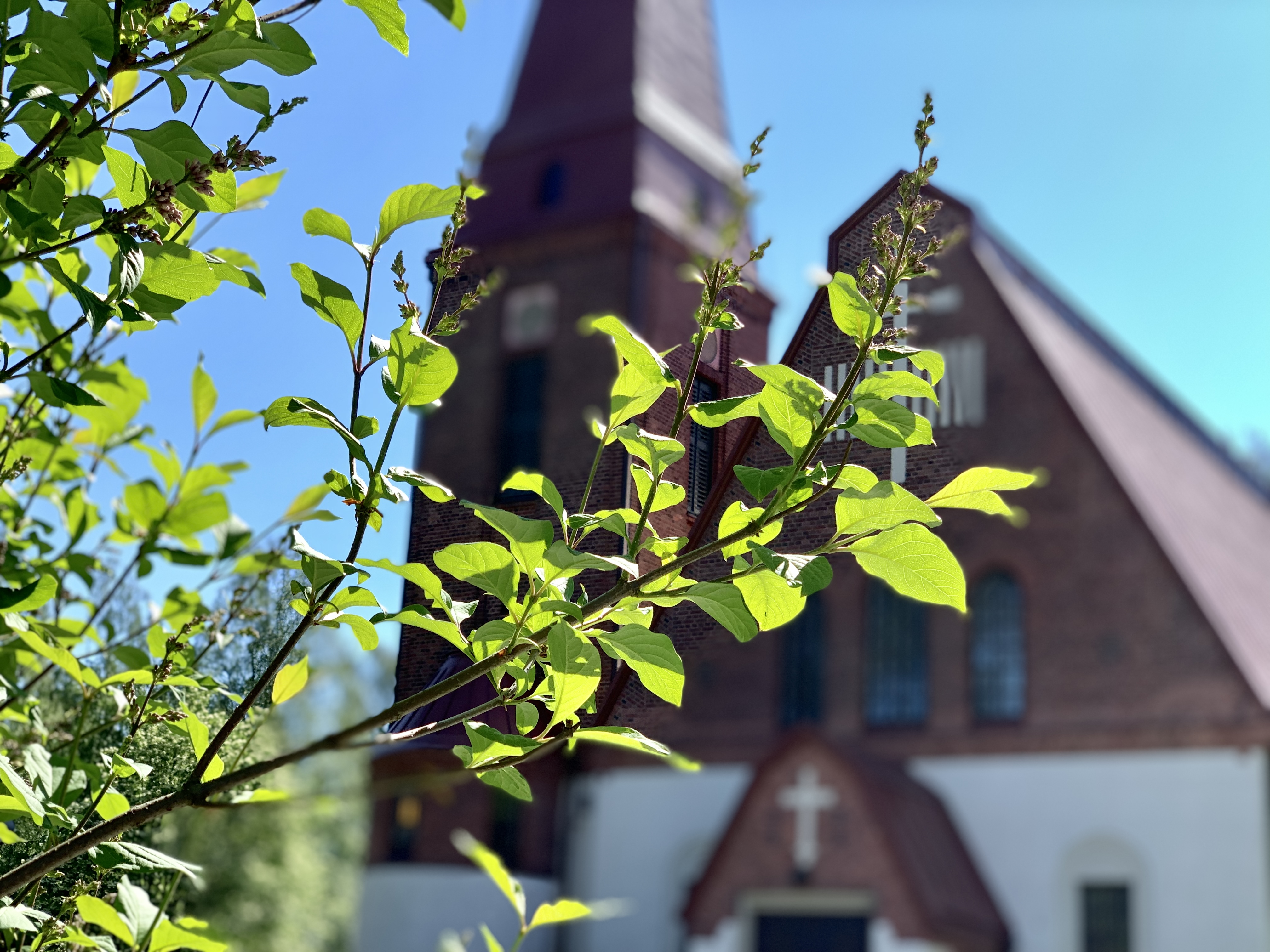 Etualalla sireenioksa, taustalla Siilinjärven kirkko