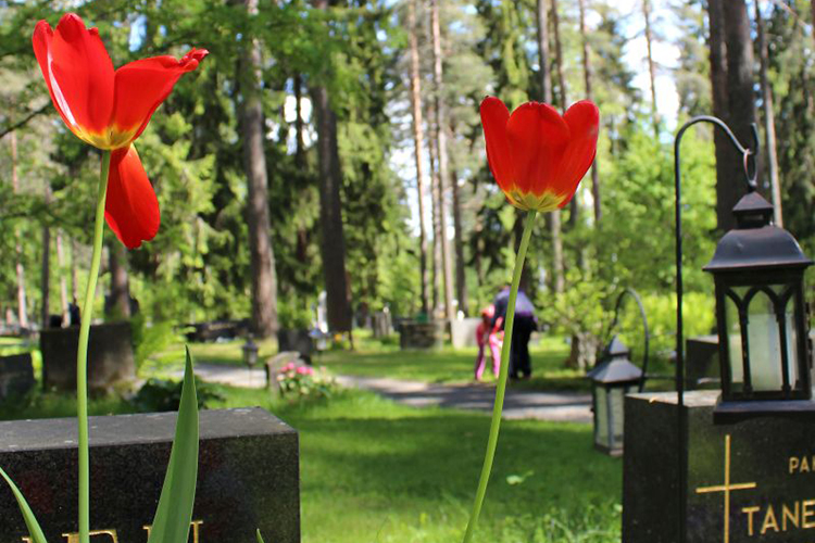 näkymä Viinamäen hautausmaalla