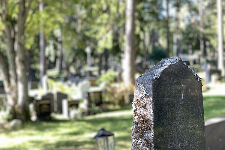 Viinamäen hautausmaalla sammaleinen hautakivi taustalla hautausmaan maisemaa
